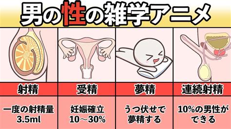 射精する瞬間の感覚10個と男性の射精後の心理・気持ち5個